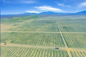 راهنمای کامل خرید و فروش زمین کشاورزی، باغ و مزرعه در ایران | وبسایت زحمتپیشه راهنمای کامل خرید و فروش زمین کشاورزی، باغ و مزرعه در ایران