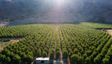 حداقل سرمایه لازم برای خرید باغ، مزرعه یا مرغداری چقدر است؟ (تحلیل کامل ۱۴۰۵) حداقل سرمایه لازم برای خرید باغ، مزرعه یا مرغداری چقدر است؟ (تحلیل کامل ۱۴۰۵)