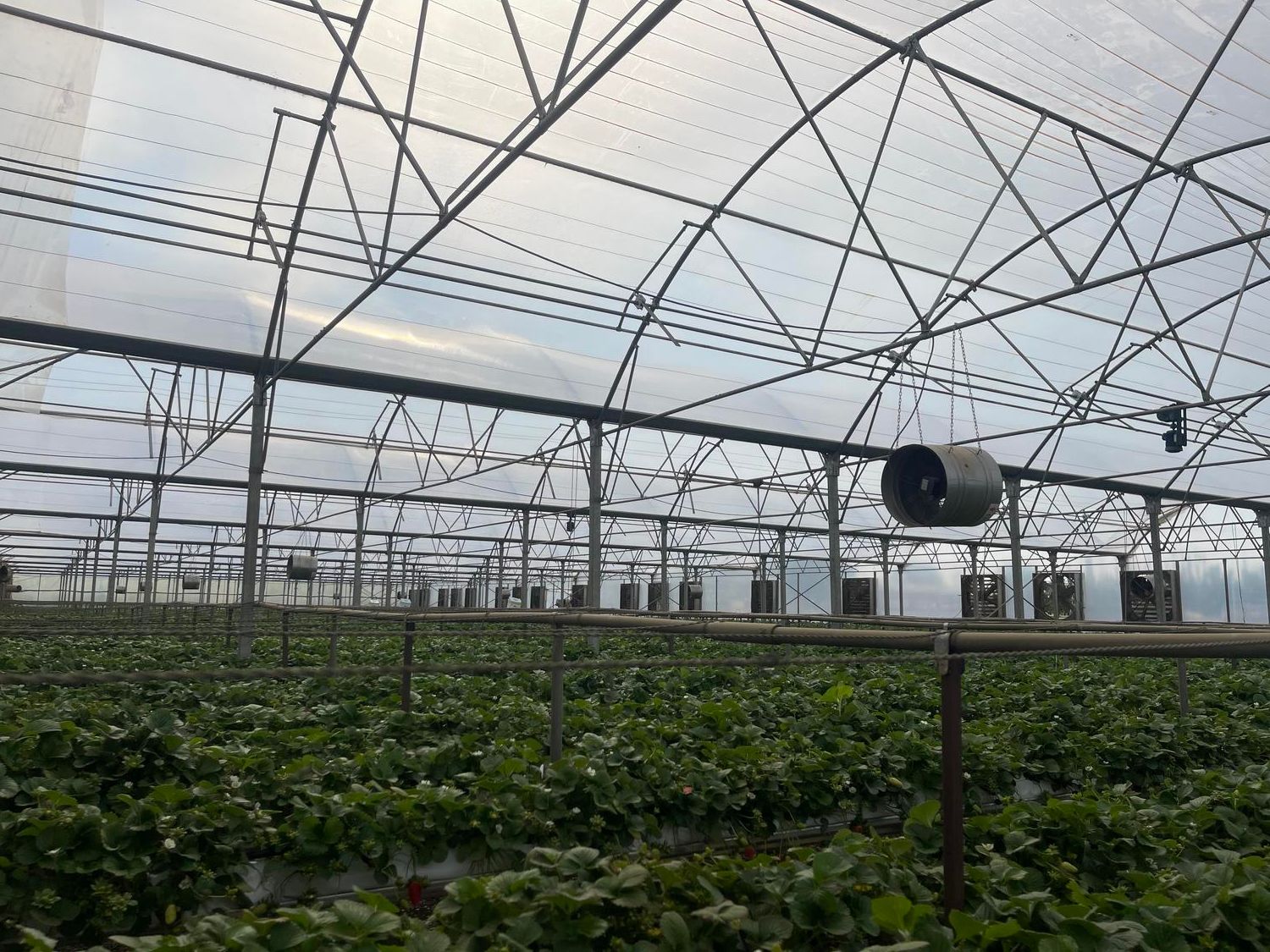 ویلای تریبلکس بهمراه گلخانه مدرن