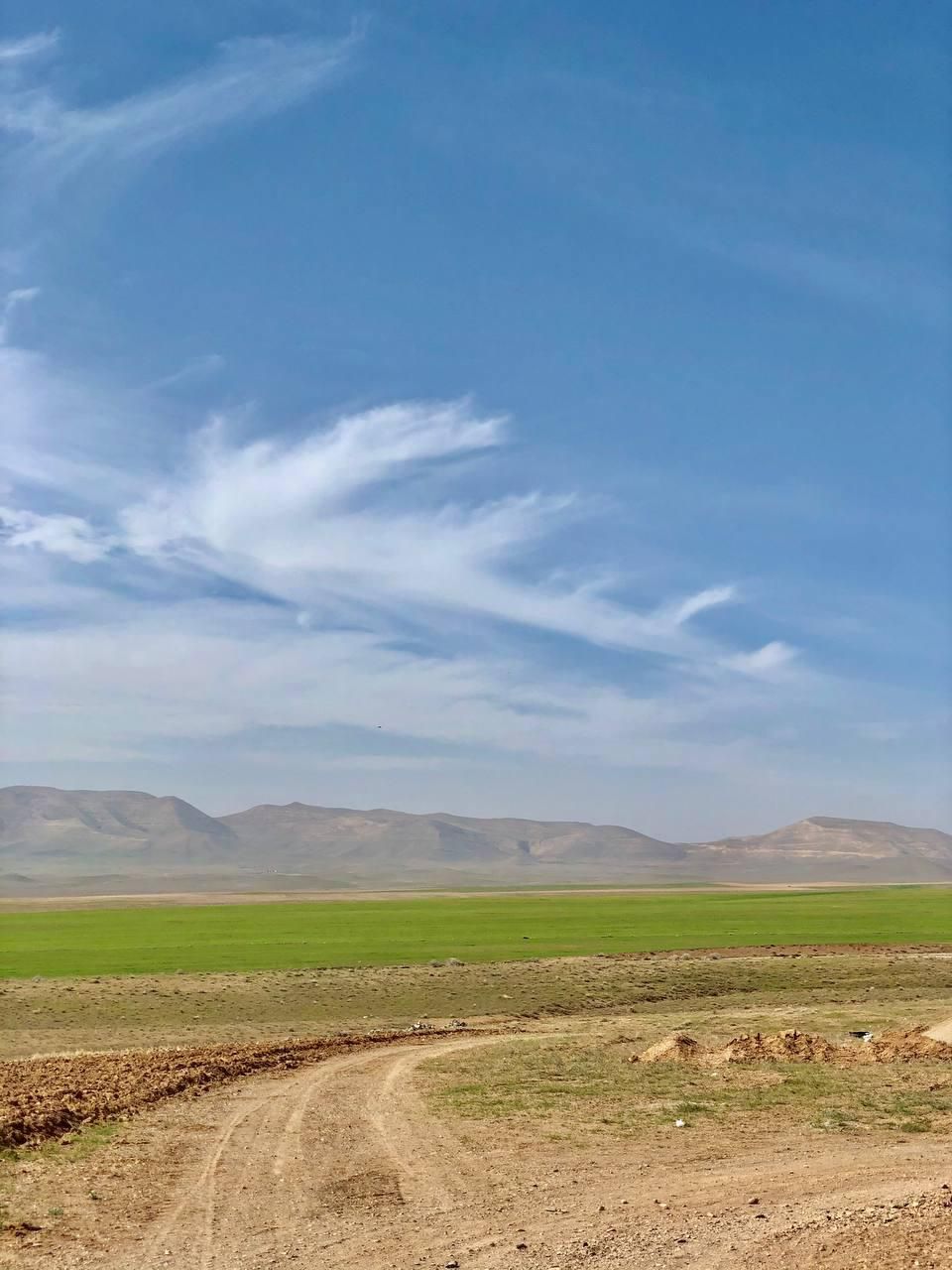 فروش۱۰۰ هکتار زمین کشاورزی بامجوزات