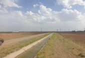 پنجاه هکتار زمین کشاورزی