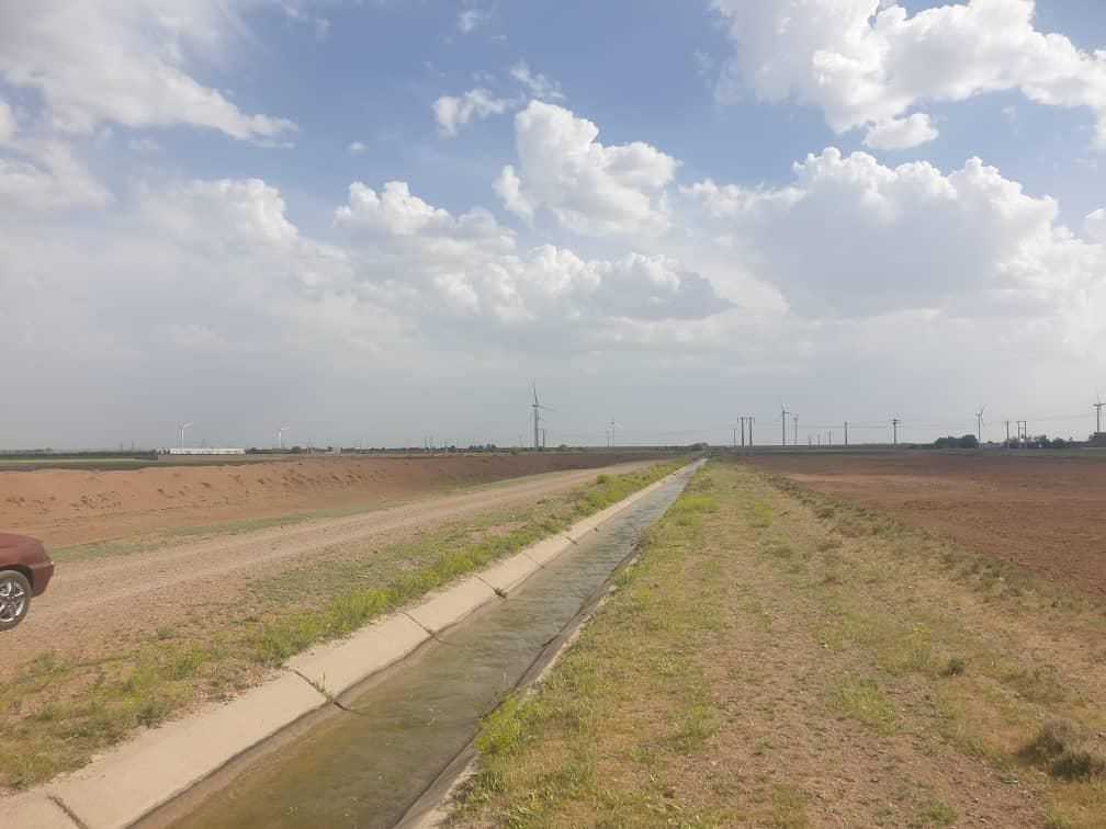 پنجاه هکتار زمین کشاورزی