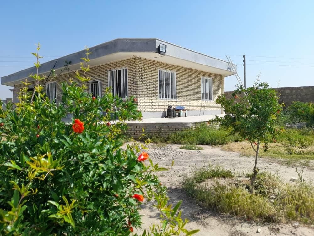 زمین شتر مرغ گاوداری گلخانه سوارکاری باغ پاکدشت