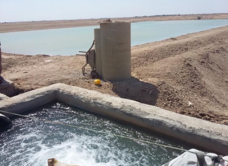 فروش و یا اجاره پرورش ماهی