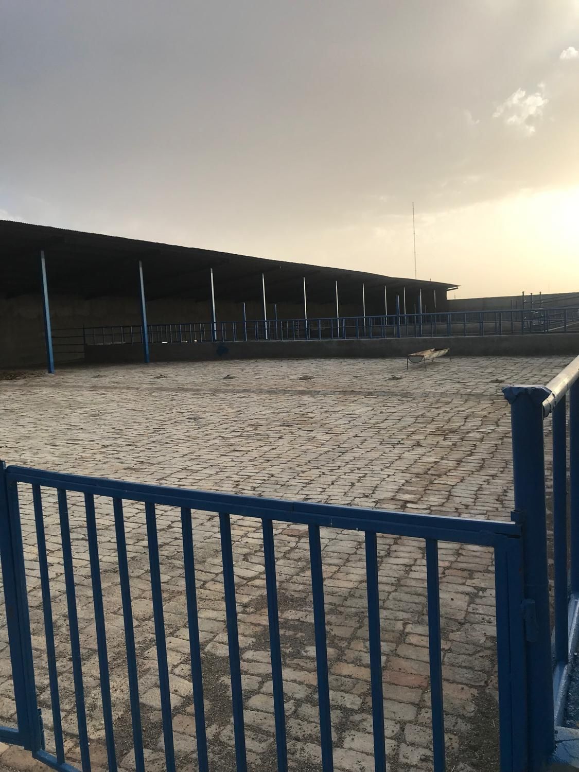 فروش گاوداری