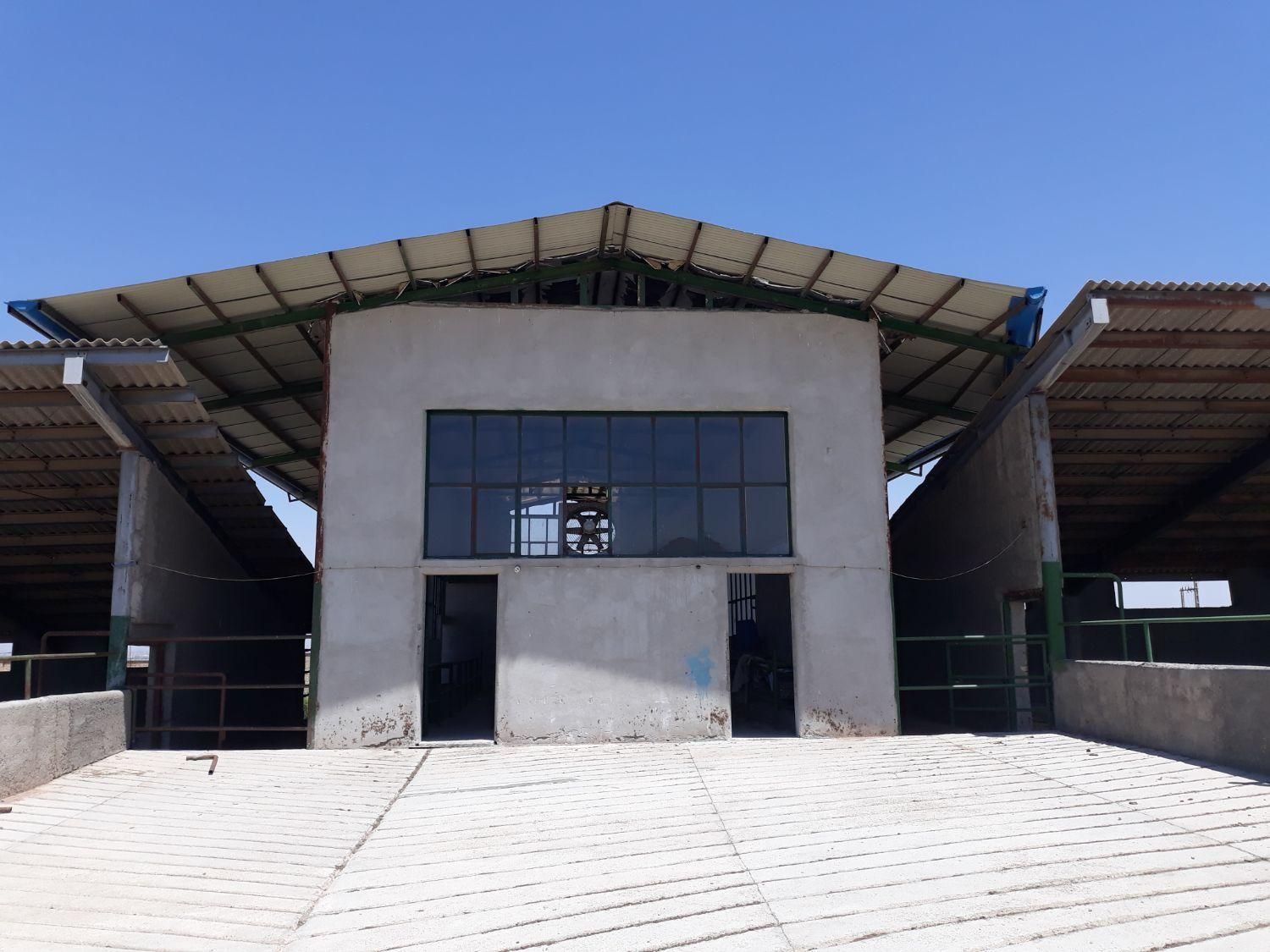 گاوداری ۵۰ راسی تمام صنعتی در شهرک دامگستر فشافویه