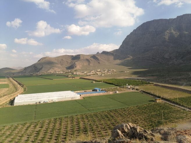 فروش مزرعه کشاورزی شامل گلخانه، باغ، دامداری استخر