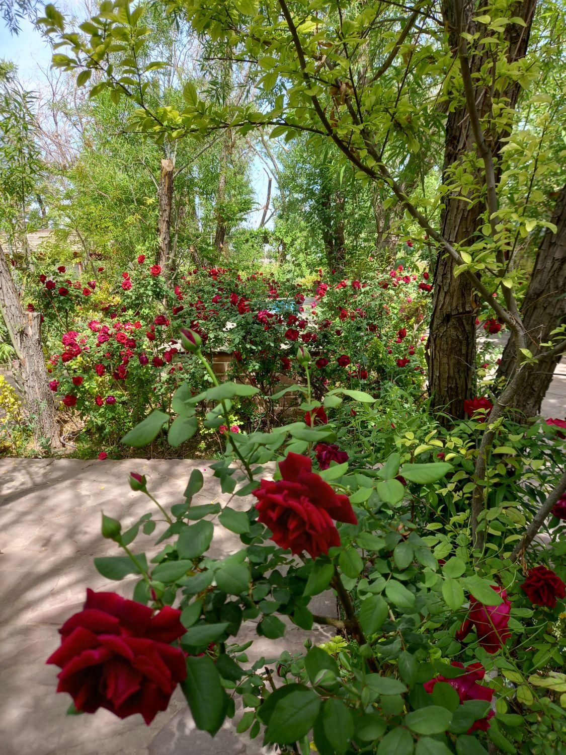 زمین ( مجتمع کشاورزی عصر کمیل )