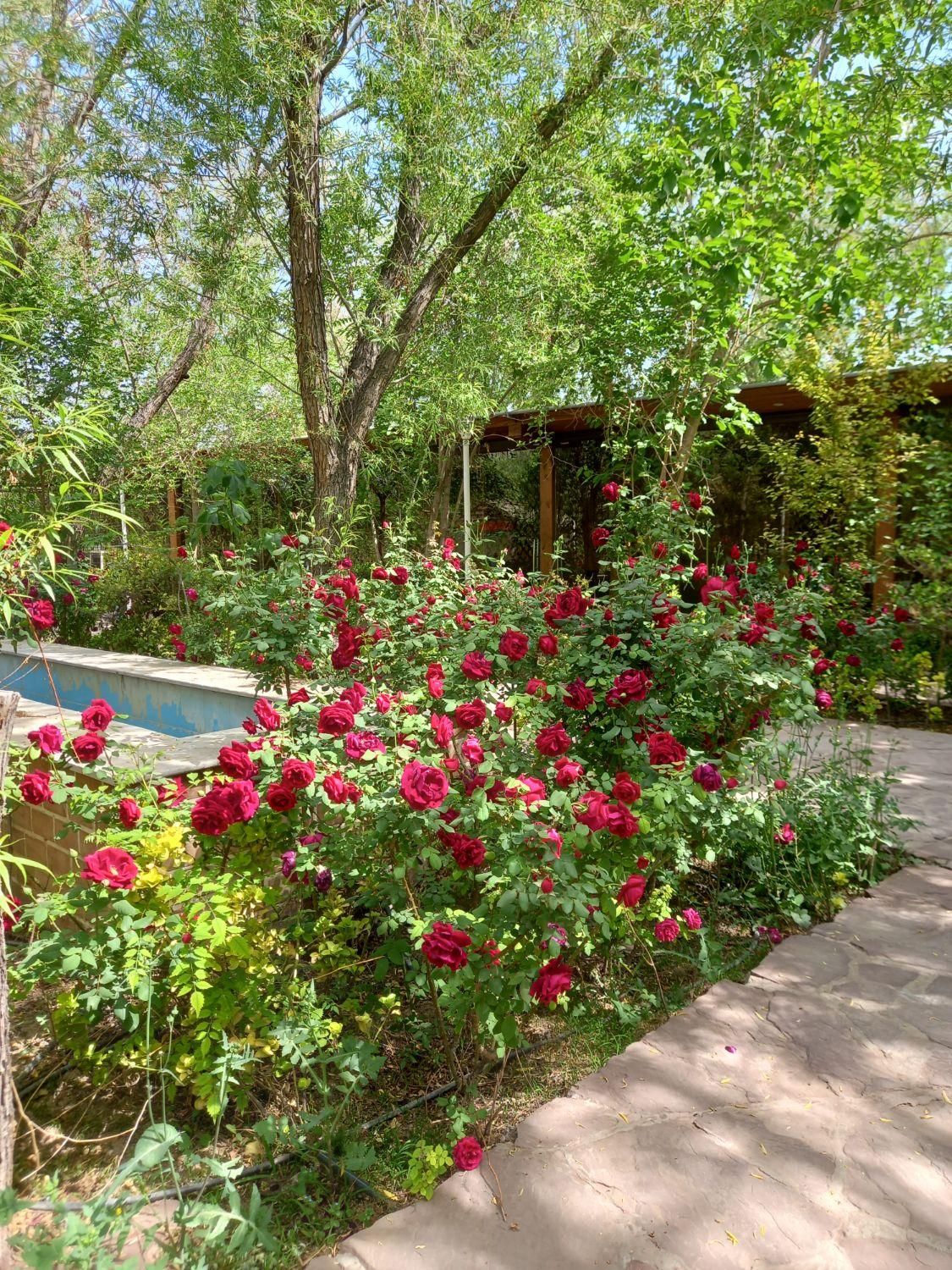 زمین ( مجتمع کشاورزی عصر کمیل )