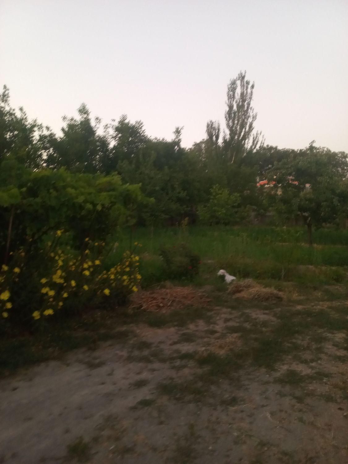 فروش ۳۵۰۰ متر ملک تجاری صنعتی بر اتوبان