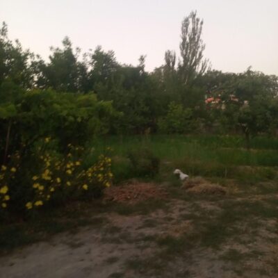 96bee8d5-2128-4f4c-8757-f07617e6699f