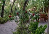 زمین ( مجتمع کشاورزی عصر کمیل )