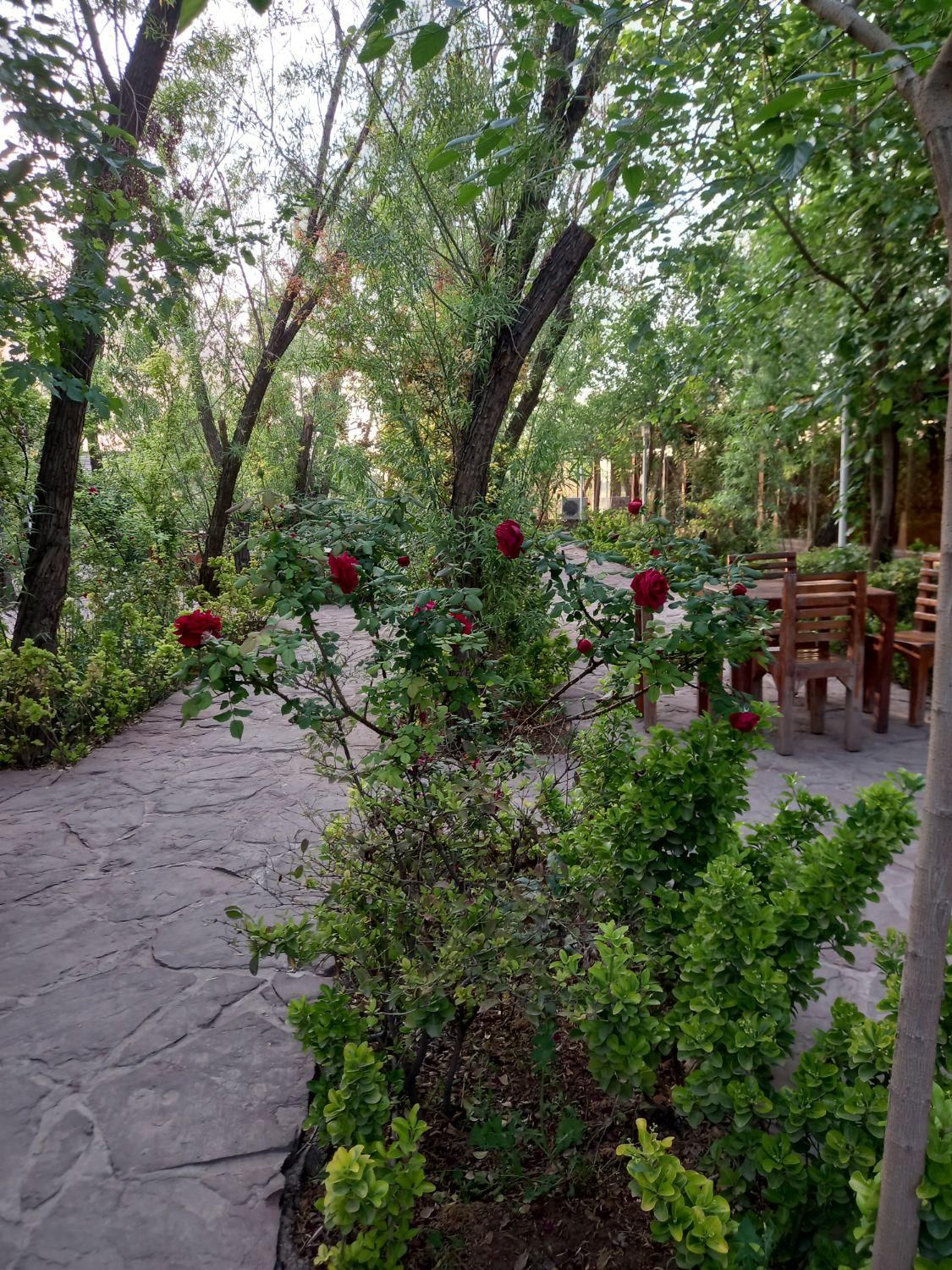 زمین ( مجتمع کشاورزی عصر کمیل )