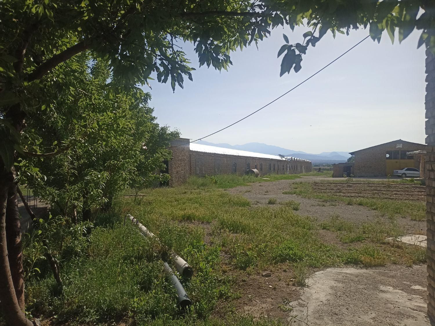 فروش مرغداری گوشتی درمرند