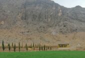 فروش مزرعه کشاورزی شامل گلخانه، باغ، دامداری استخر