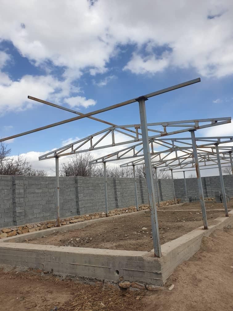 گاوداری نیمه تمام بیست راسی شیری با مولد چهل راس