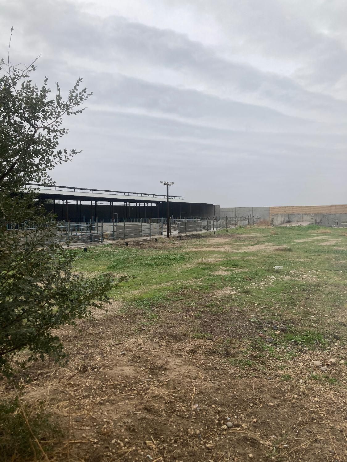 دامداری صنعتی یک هکتاری ۱۰۰۰ راسی