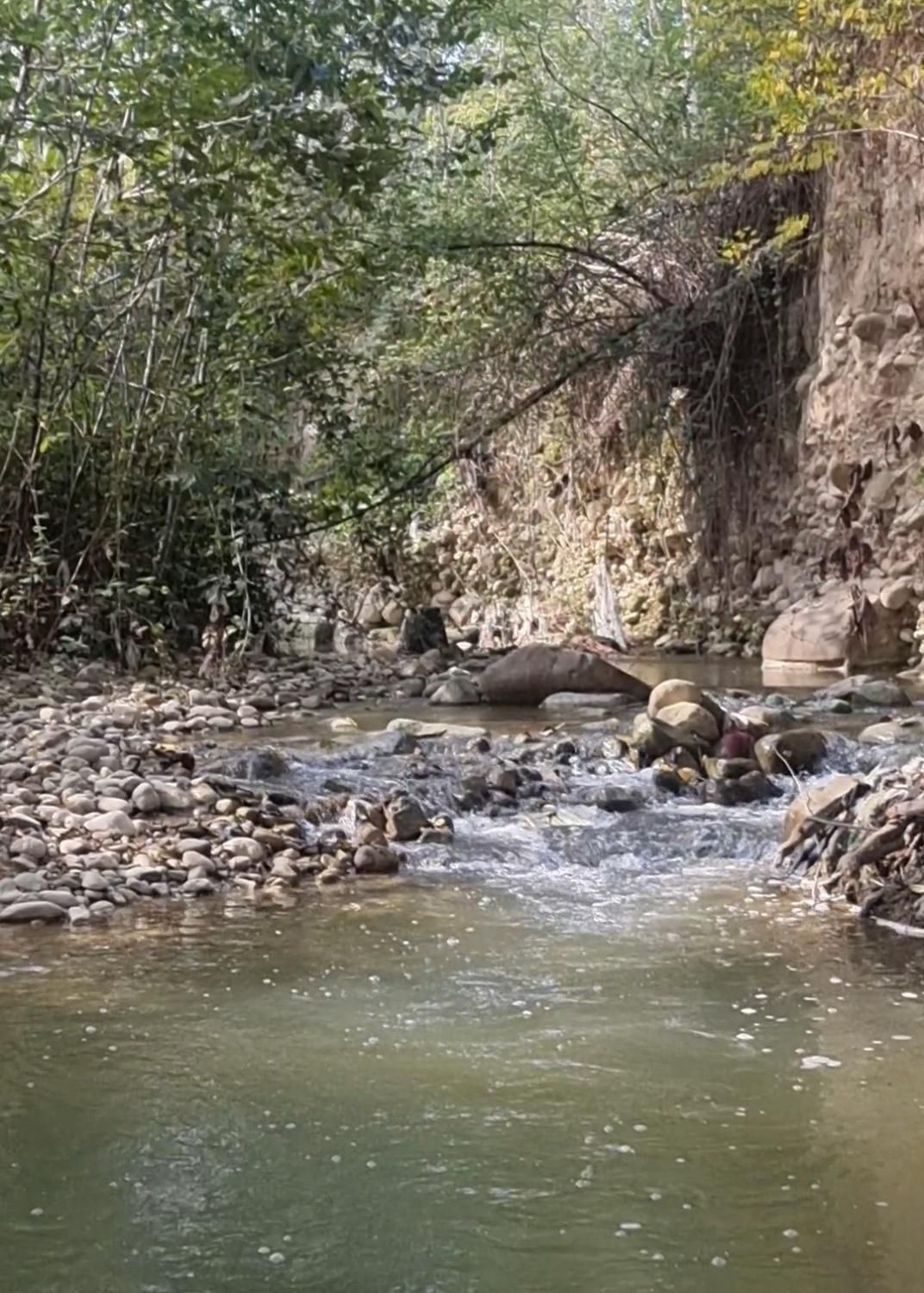 فروش استثنایی باغ رستوران و مجتمع تفریحی توریستی