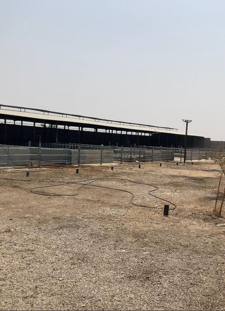 دامداری صنعتی یک هکتاری ۱۰۰۰ راسی