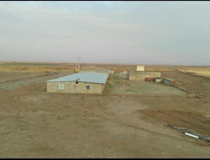 مزرعه پرورش ماهی دامداری مرغداری و بوقلمون گوشتی