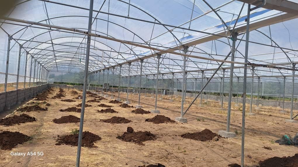 گلخانه دامداری ویلا در مزرعه ای به مساحت ۳ هکتار
