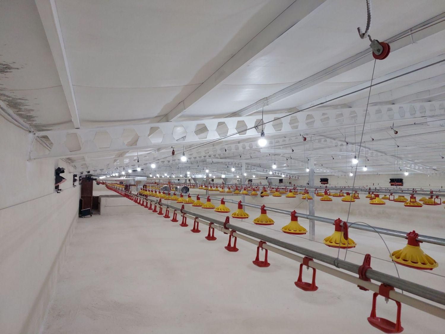 فروش مرغداری گوشتی ۳۰ هزار قطعه ای نو ساز