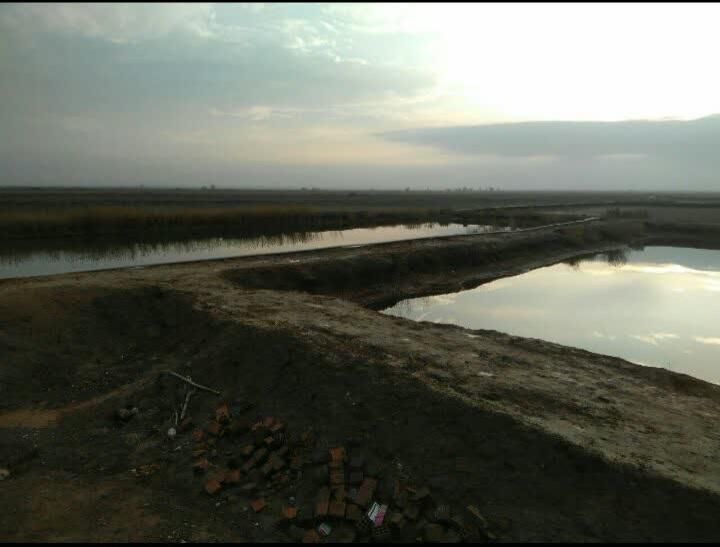 مزرعه پرورش ماهی دامداری مرغداری و بوقلمون گوشتی