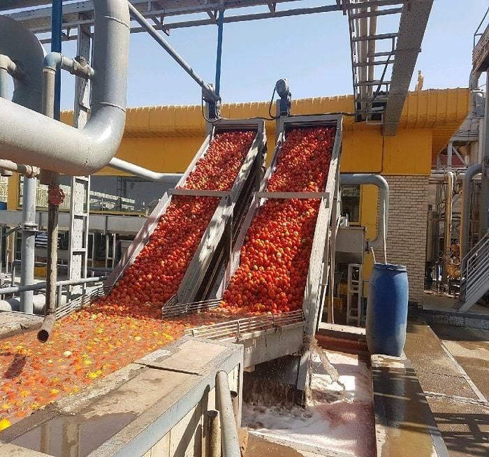 کارخانه ماکارونی در حال فعالیت