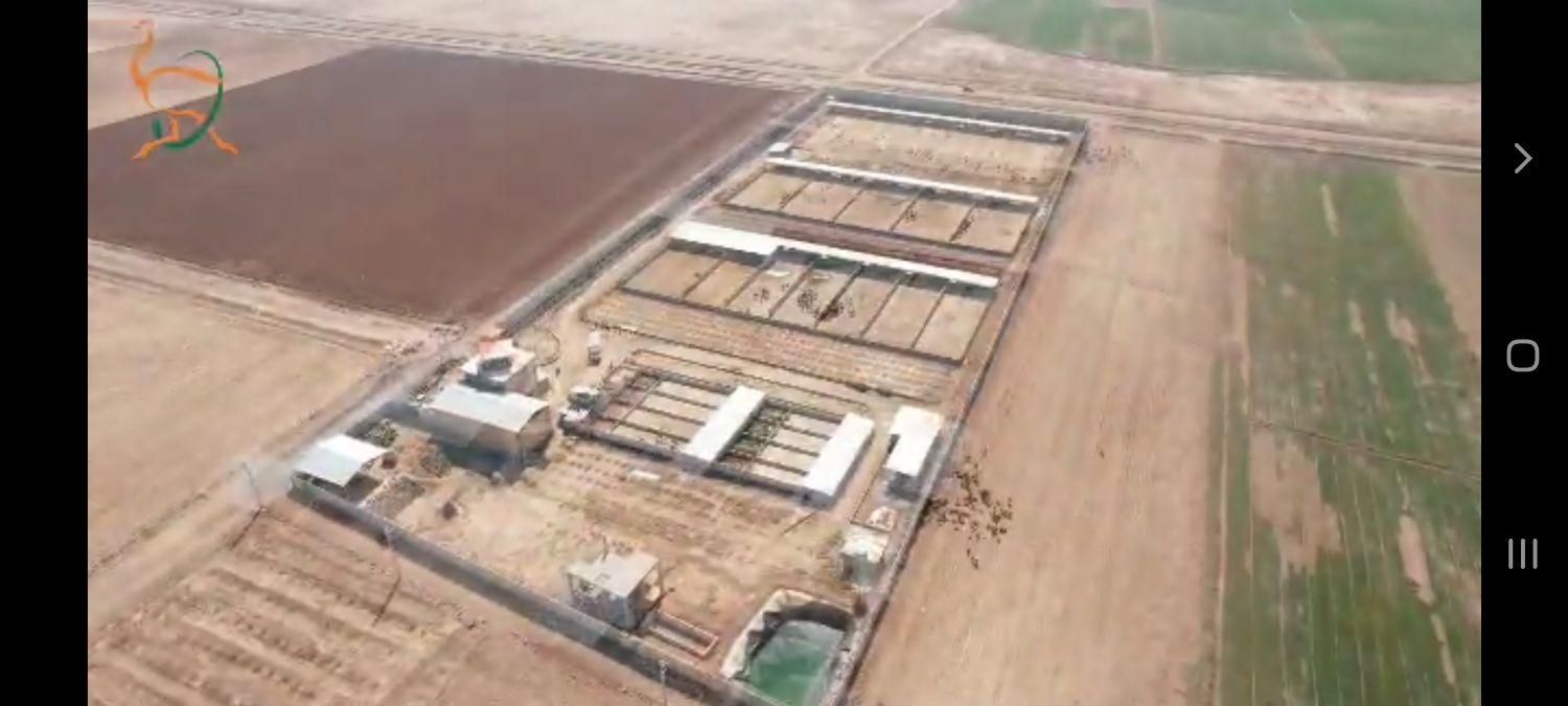 کشتارگاه صنعتی