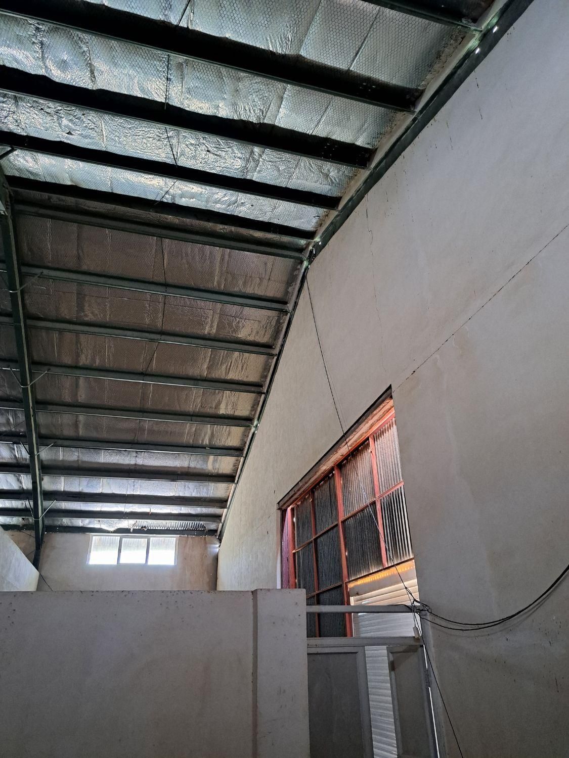 فروش صنعتی درخت سبز