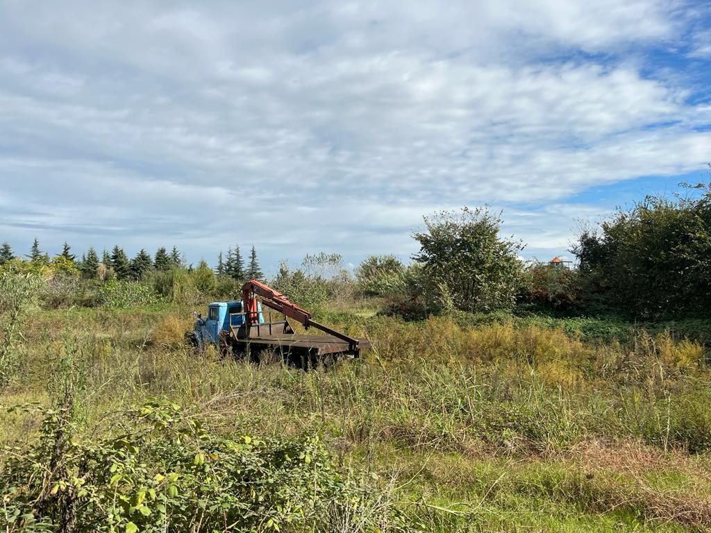 زیر قیمت بازار فوری