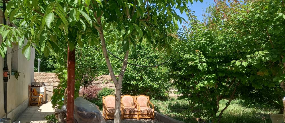 فروش ۴۵۰۰متر گلخانه