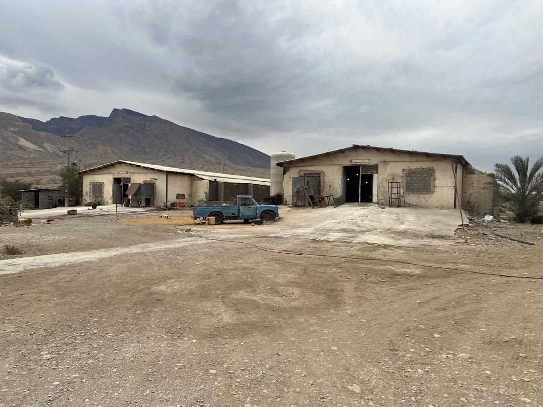 فروش مرغداری توابع گنو