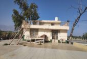 فروش ۳۰ هکتار زمین کشاورزی