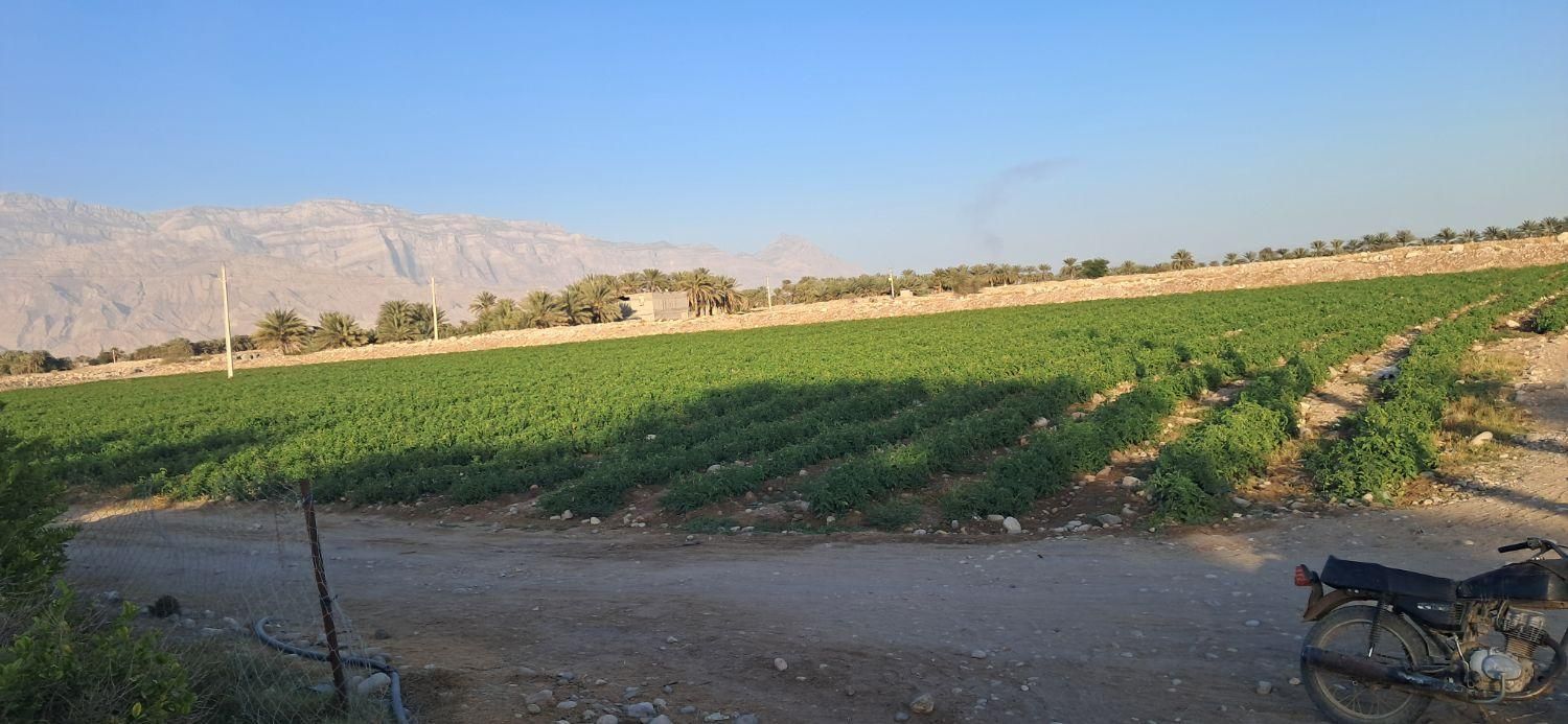 فروش ۸ هکتار زمین شهر قلعه قاضی