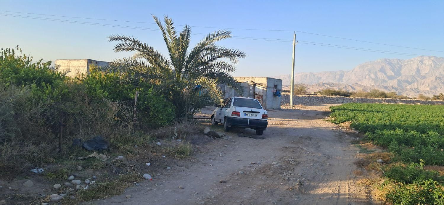 فروش ۸ هکتار زمین شهر قلعه قاضی