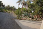 باغ و زمین کشاورزی