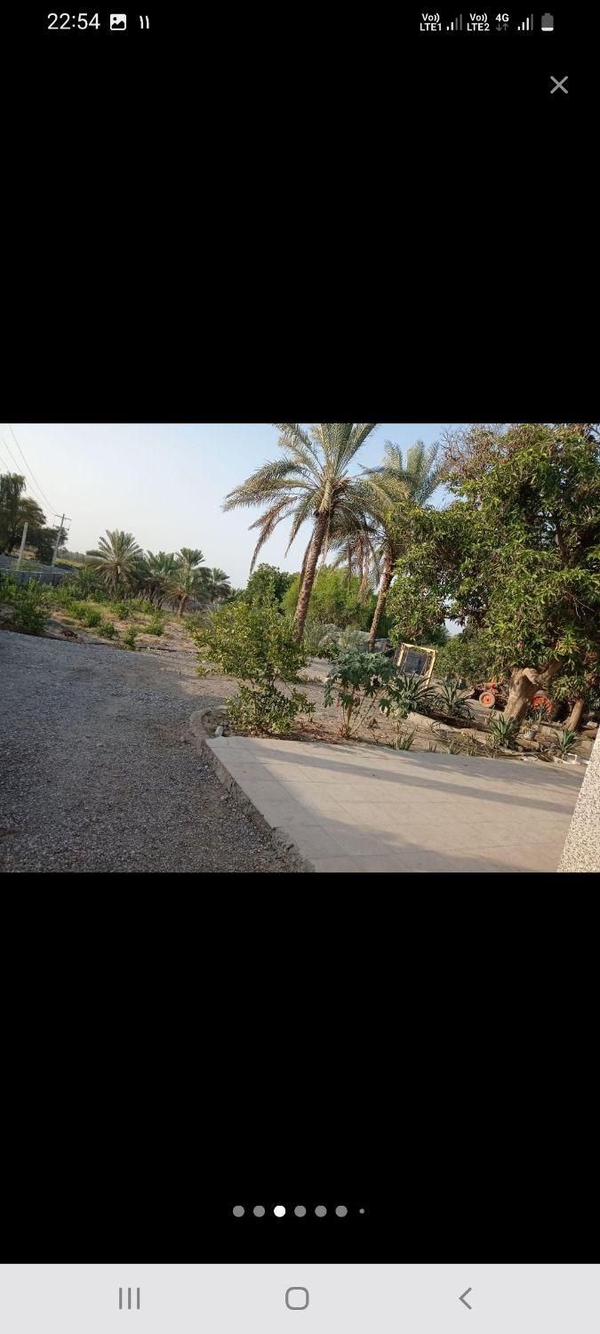 باغ و زمین کشاورزی