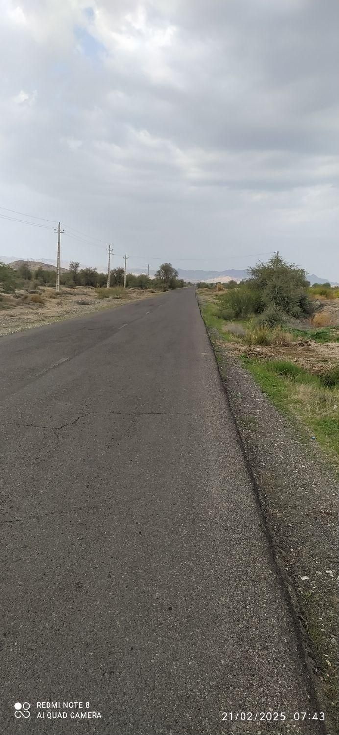 زمین کشاورزی جغین جنوبی ناصرآباد گوچی