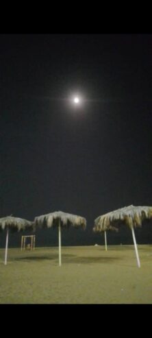 فروش زمین مسکونی جغین شمالی پاسفید