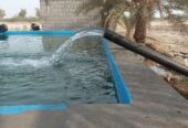 زمین کشاورزی تخت
