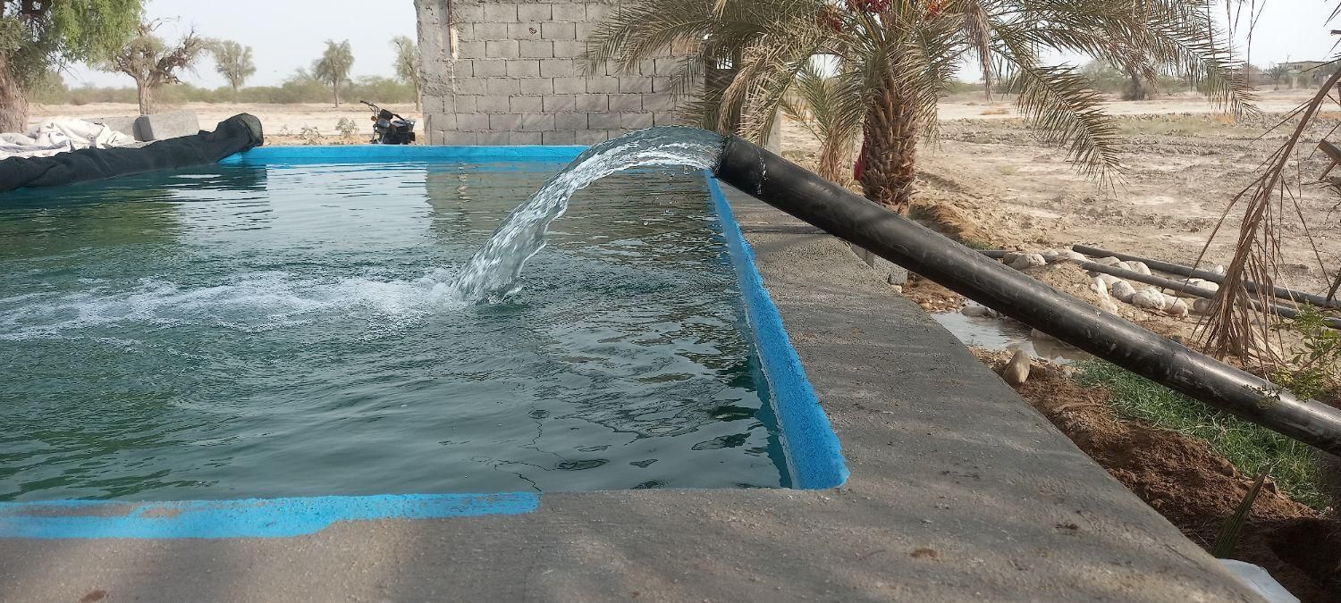 زمین کشاورزی تخت