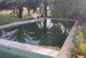 فروش ۳۰ هکتار زمین کشاورزی