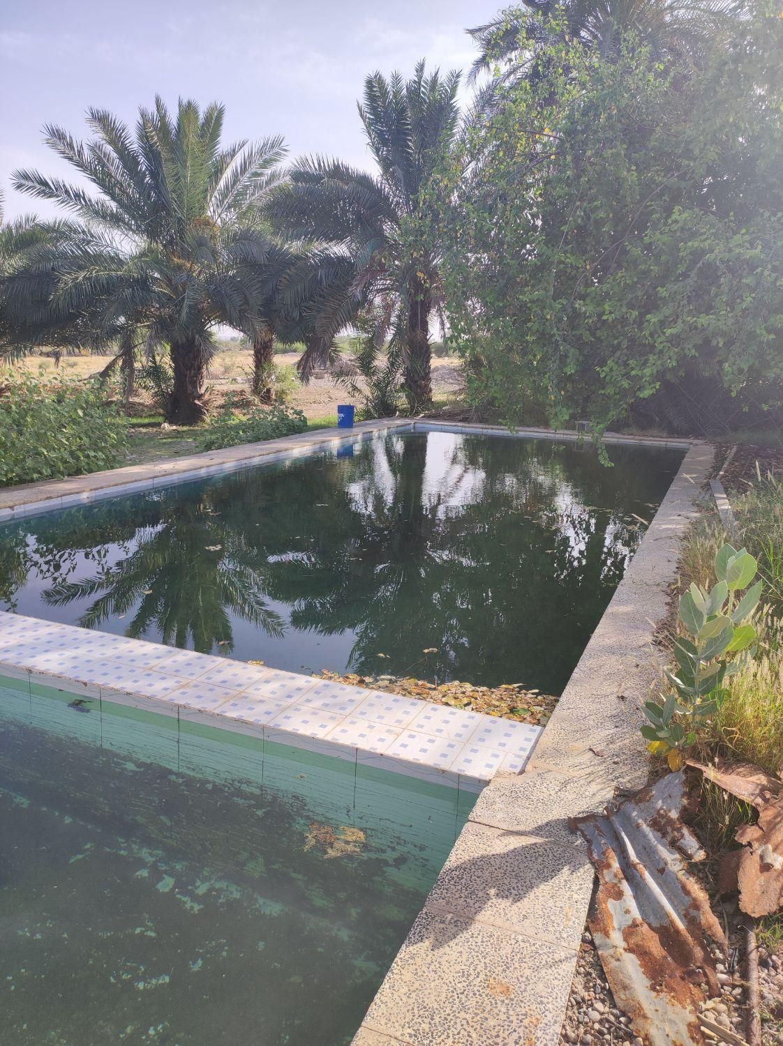 فروش ۳۰ هکتار زمین کشاورزی