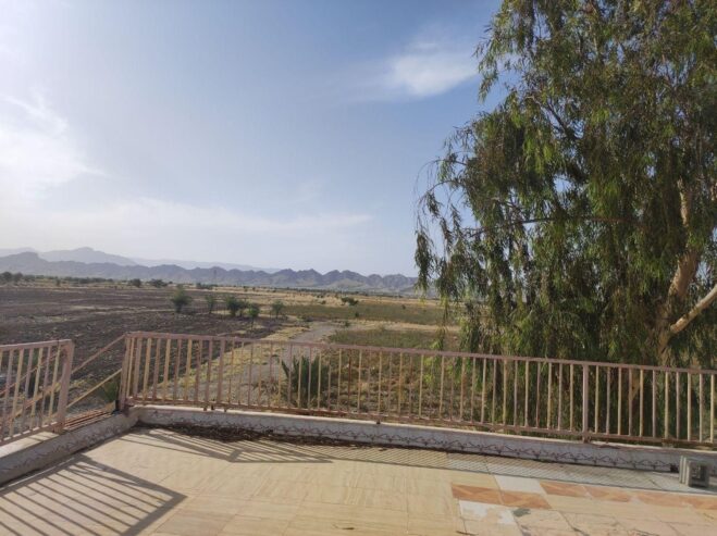 فروش ۳۰ هکتار زمین کشاورزی