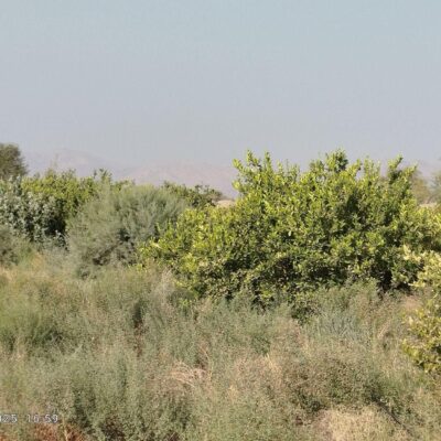 c36d5658-c3aa-43f8-9c4d-2def2bbdf44b