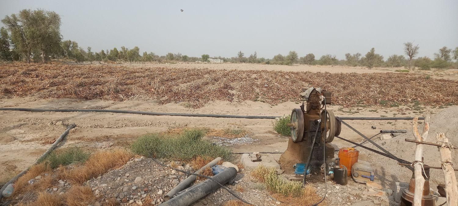 زمین کشاورزی تخت