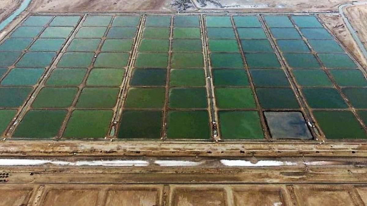 پرورش میگو فول امکانات تیاب