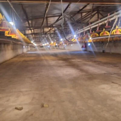 255f16a3-1624-4152-91f6-2a31a64a2a48