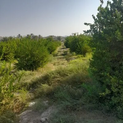 574dee83-eb9d-48a0-a3c3-c349df0bc708